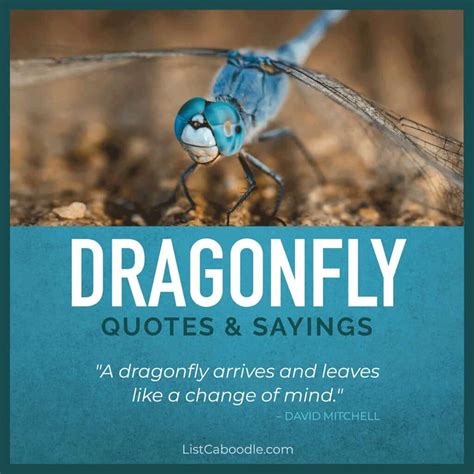 quotes on dragonfly|strong dragonfly quotes.